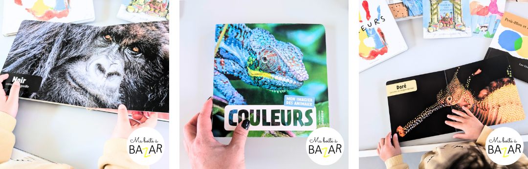 Livres jeunesse pour apprendre les couleurs en maternelle